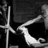 _dsc6909